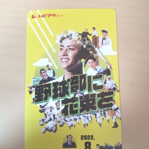 映画 「野球部に花束を」 ムビチケ 一般 1枚