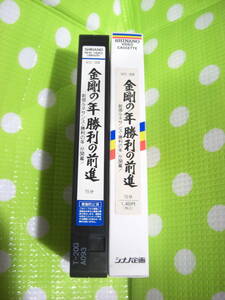 即決〈同梱歓迎〉VHS 金剛の年勝利の前進 VC-39 創価学会 シナノ企画◎ビデオその他多数出品中∞d233