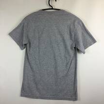 00s フルーツオブザルーム FRUIT OF THE LOOM 半袖Tシャツ グレー Sサイズ セミ 蝉 シケーダー CICADA_画像6