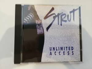 【米国メロハー名盤】STRUT / UNLIMITED ACCESS　WORLDS APARTの1STのような爽やかメロハー　自主製作盤　試聴サンプルあり