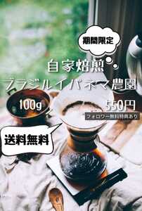 自家焙煎 ブラジル イパネマ農園 100g フォロワー無料特典あり Backpackers Coffee