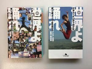 ナオト・インティライミ　世界よ踊れ　歌って蹴って！28ヶ国珍遊日記