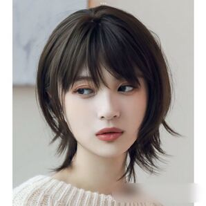 フルウィッグ セミロング ミディアム ウィッグ ウルフ ダークブラウン ショートウィッグ 耐熱 可愛い 通気性 伸縮性 フリーサイズ