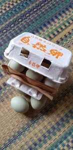 【終生飼養☆空からの青い卵】6個★アローカナ 終生飼養の自然卵【送料込み】見込み有精卵【食用】