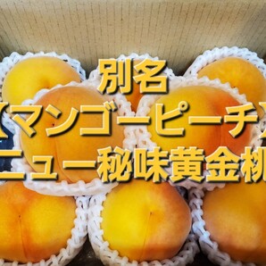 数量わずか!早い者勝ち!大好評!別名「マンゴーピーチ」長野県産「ニュー秘味黄金」