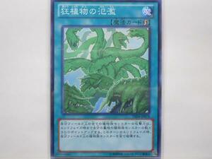 遊戯王　狂植物の氾濫　ノーマル