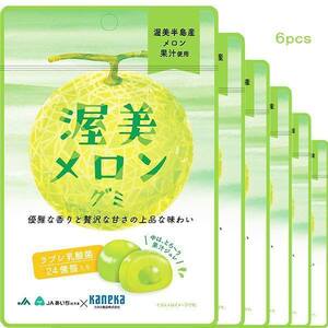 6袋セット販売 グミ 乳酸菌入り 渥美メロングミ カネカ食品 美味しい 贅沢な甘さ 果汁ジュレ ラブレ乳酸菌 渥美半島産 メロン