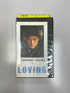 エル・オー・ヴィ・愛・N・G 田原俊彦 出演 映画 1983年 多岐川裕美 村井国夫 近藤真彦 レンタル落ち VHSビデオ