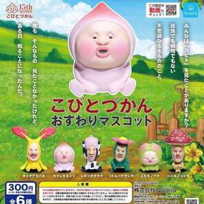コンプ こびとづかん おすわりマスコット 全6種セット ガチャ