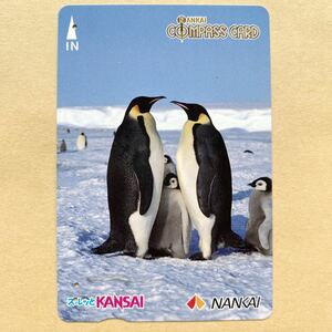 【使用済】 スルッとKANSAI 南海電鉄 ペンギン