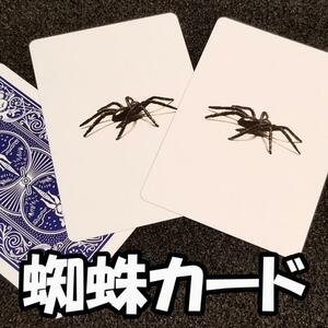 S48■前田氏が演じて人気爆発■絵のクモが実物になって客の手に貼りつく■マジック DVD セット　手品