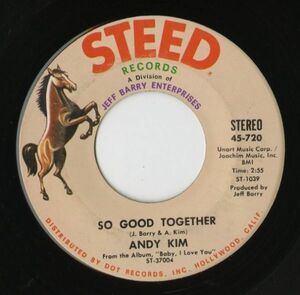 【ロック 7インチ】Andy Kim - So Good Together / I Got To Know [Steed Records 45-720]