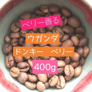 【農薬不使用】ウガンダ ルウェンゾリドンキー 中煎り 豆 400g