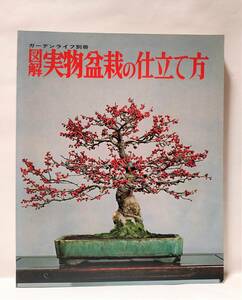 図解 実物盆栽の仕立て方 ガーデンライフ別冊 誠文堂新光社 1975年 昭和50年