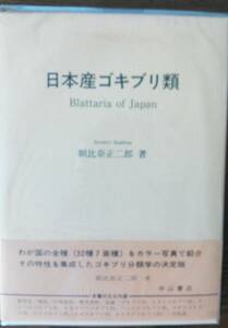 【未読・新品】日本産ゴキブリ類　初版一刷帯・函・Vカバー　朝比奈正二郎　Museum Quality