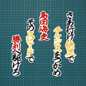 送料無料 島田 応援歌 行黒黄赤/白 刺繍 ワッペン 阪神 タイガース