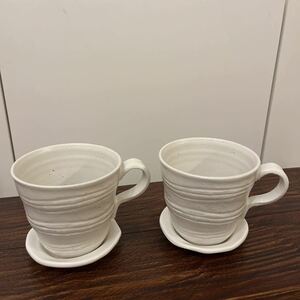 ◆新品◆たち吉　コーヒーカップ ペア カップ&ソーサー　2客セット　橘　ホワイト系　小皿　和風