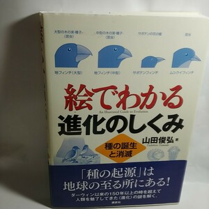 絵でわかる進化のしくみ　種の誕生と消滅 （絵でわかるシリーズ） 山田俊弘／著