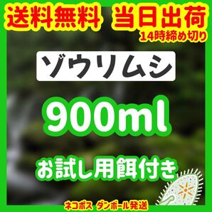 ゾウリムシ 900ml お試し用餌付き 種水 金魚 メダカ 熱帯魚 針子 稚魚にオススメ 活き餌 生き餌