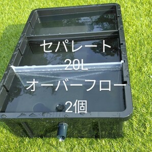 メダカ容器　20L　2個　仕切りあり　オーバーフロー