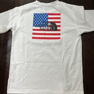 ザノースフェイスTシャツ THE NORTH FACE 半袖 Lサイズ