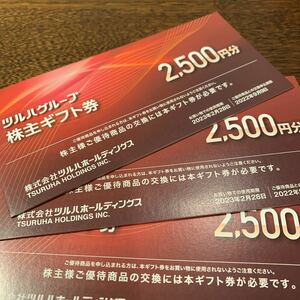 最新ツルハホールディングス株主優待　7,500円分