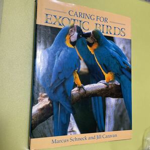 鳥の英語本　Caring for Exotic Birds