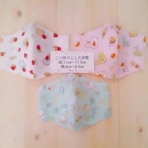 立体インナーマスク 3枚セット すみっコぐらし