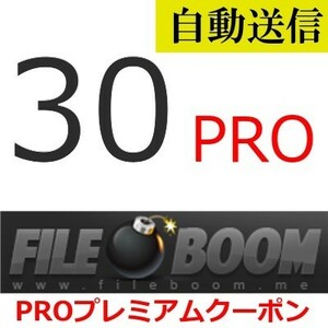 【自動送信】FileBoom PRO 公式プレミアムクーポン 30日間 通常1分程で自動送信します