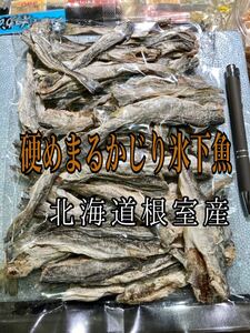 珍味 硬めまるかじり氷下魚（こまい）北海道根室産　別名：寒海（かんかい）