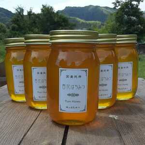 国産蜂蜜 純粋はちみつ 百花蜜 西洋ミツバチ　600g×5本