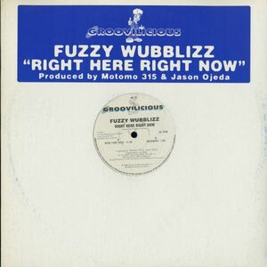 試聴 Fuzzy Wubblizz - Right Here Right Now [12inch] Groovilicious US 1999 House