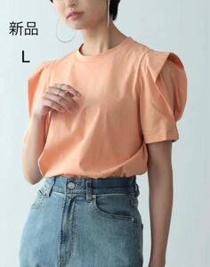 赤字セール シルケットパワショルデザインカットソーTシャツ　オレンジ　L