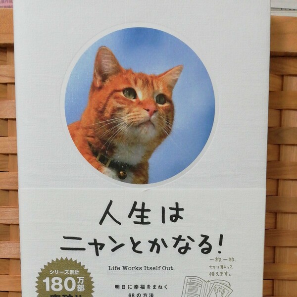 人生はニャンとかなる！　明日に幸福をまねく６８の方法 水野敬也／著　長沼直樹／著
