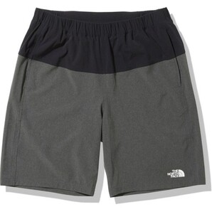 【品薄カラー】 ノースフェイス フレキシブルショーツ NB42287 メンズ