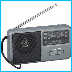 ポータブルラジオ AM/FM オーム電機 コンパクトラジオ RAD-F1771M 07-9721 シルバー