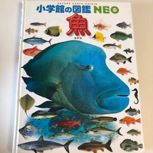 小学館の図鑑NEO 魚
