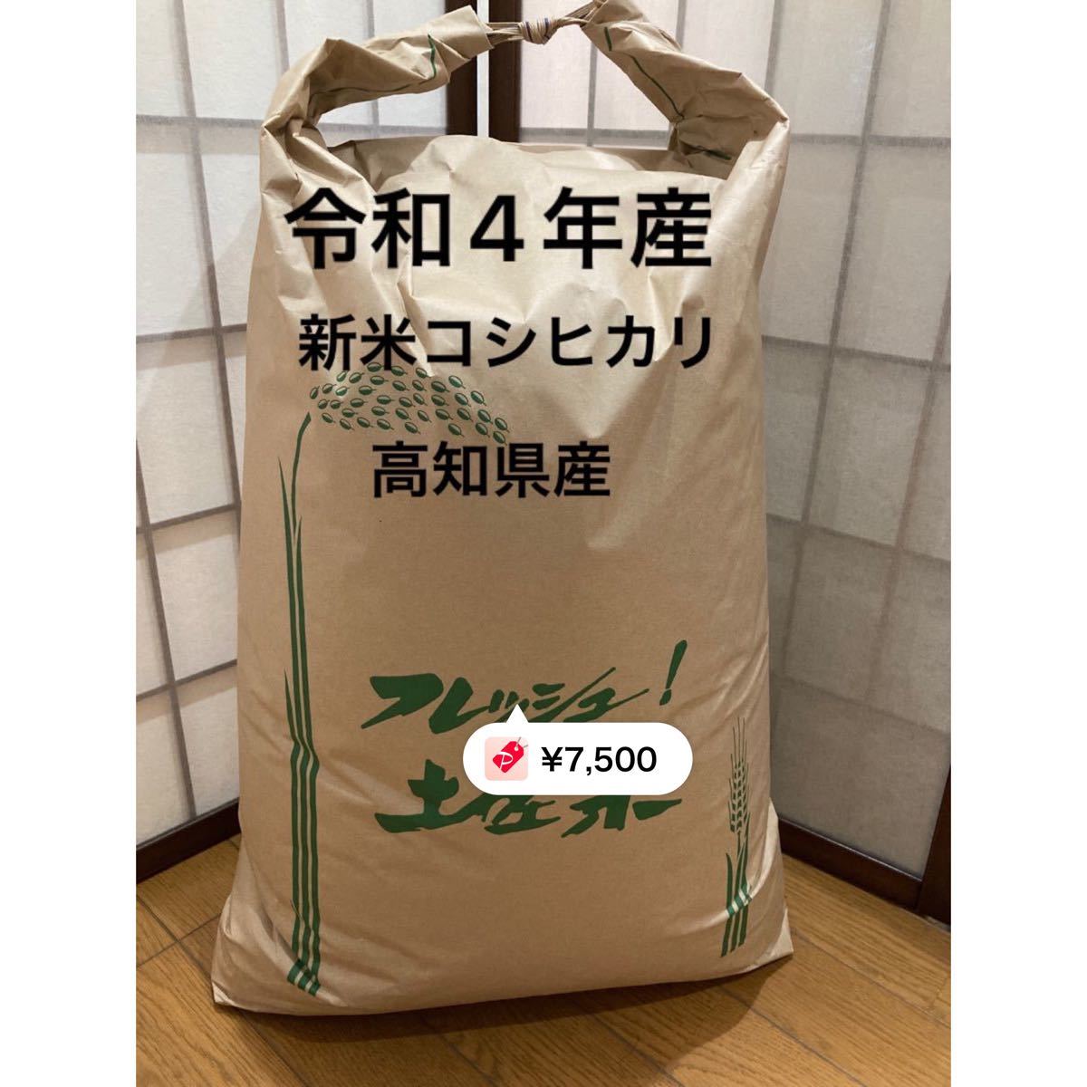 見事な 【新米】宮崎県産 高冷地米 コシヒカリ 無農薬 玄米 30kg 米