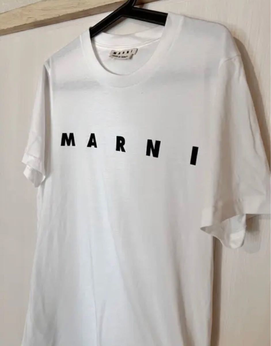 新品 46 20aw MARNI ロゴ Tシャツ ブラウン ベージュ 9886｜PayPayフリマ