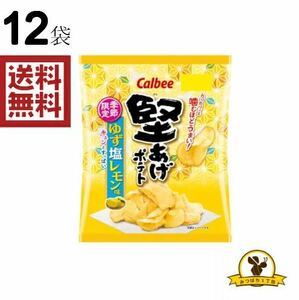【販路限定品】カルビー 堅あげポテト ゆず塩レモン味 60g×12袋