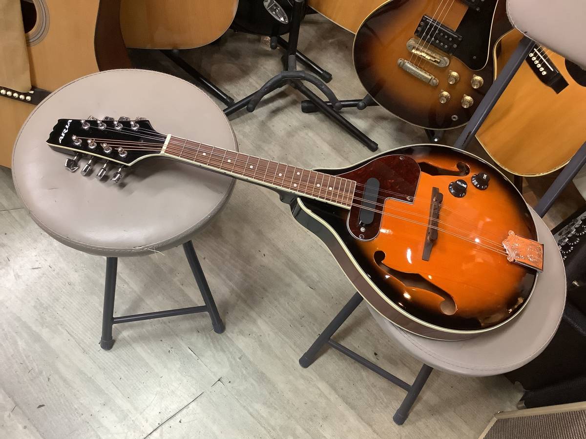 Stafford\u0026Co. エレキ フラットマンドリン|弦楽器 www