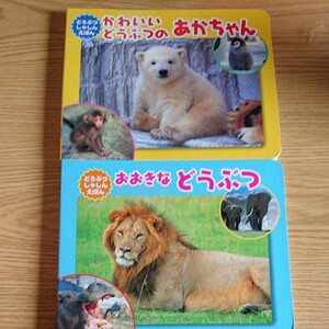 どうぶつのしゃしんえほん【かわいいどうぶつのあかちゃん】【おおきなどうぶつ】