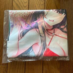 精霊幻想記 22 メロンブックス限定版特典 描き下ろしB2タペストリー