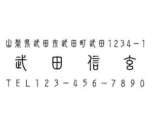 17 即決 住所印 住所判 ゴム印 スタンプ はんこ 送料込