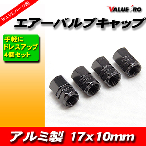 バルブキャップ アルミホイール タイヤ バルブステムキャップ アルミ 17MM 4PCS チタン TITAN