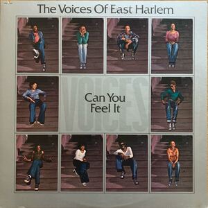 THE VOICES OF EAST HARLEM/CAN YOU FEEL IT/JIMMY JOE LEE/AMAZING LOVE/SO RARE/TAKE A STAND/MARCH ACROSS THIS LAND/LEROY HUTSON/MURO