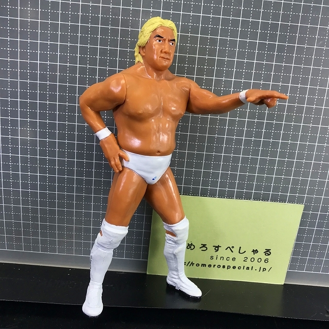 2023年最新】ヤフオク! -高山善廣(スポーツ)の中古品・新品・未使用品一覧