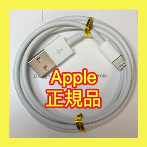 iPhone アップル純正ケーブル Lightningケーブル ライトニングケーブル Apple iPad