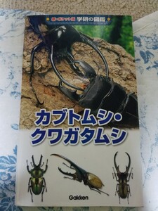 学研の図鑑 カブトムシ クワガタムシ 新ポケット版