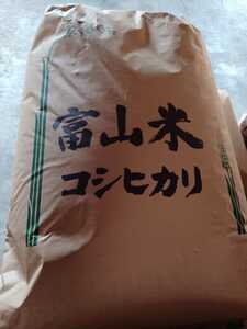 富山県産 コシヒカリ 一等米玄米30kg 令和3年 検査済み　2